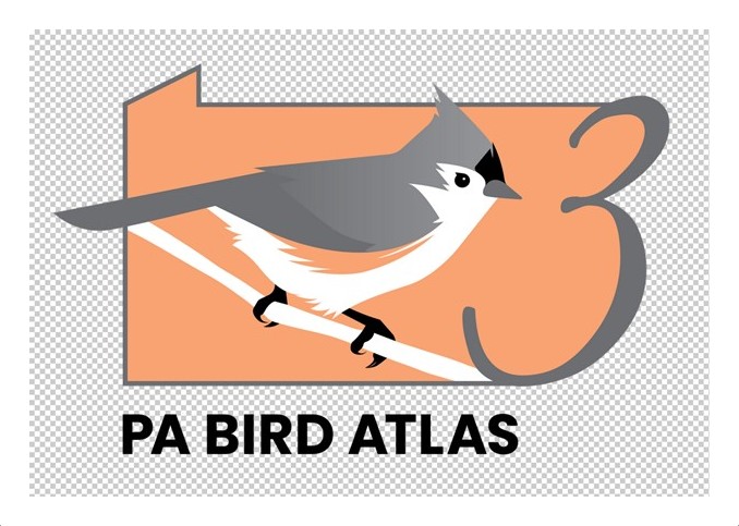 Third Bird Atlas
