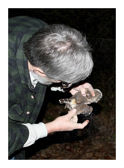 Bob with a Saw-whet Owl