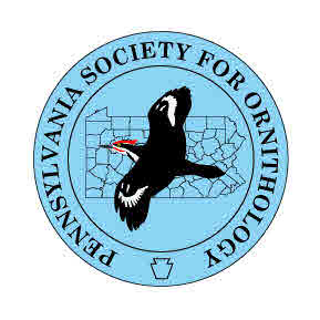 PSO Logo