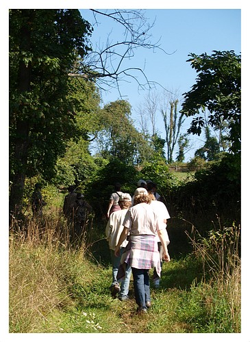 On the Trail