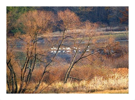 Yellow Creek Lake