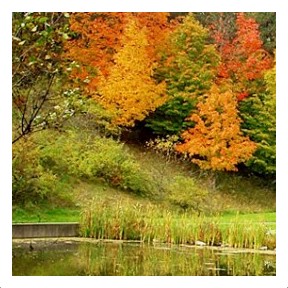 Deer Lakes Park