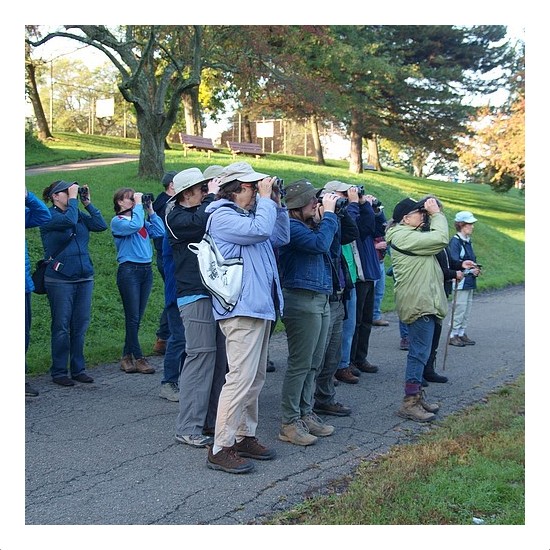Frick Park Birders