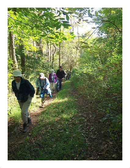 Harrison Hills Birders