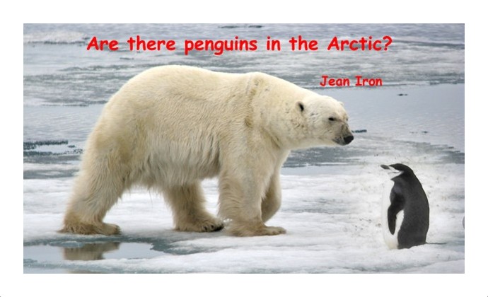 Polar Bear and Penguin